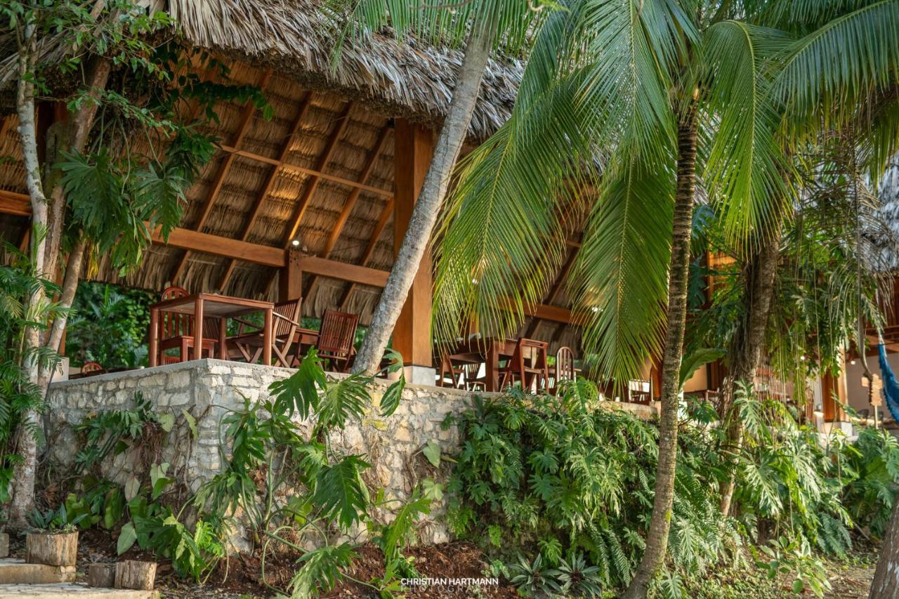 Hotel Gringo Perdido El Remate Exterior foto
